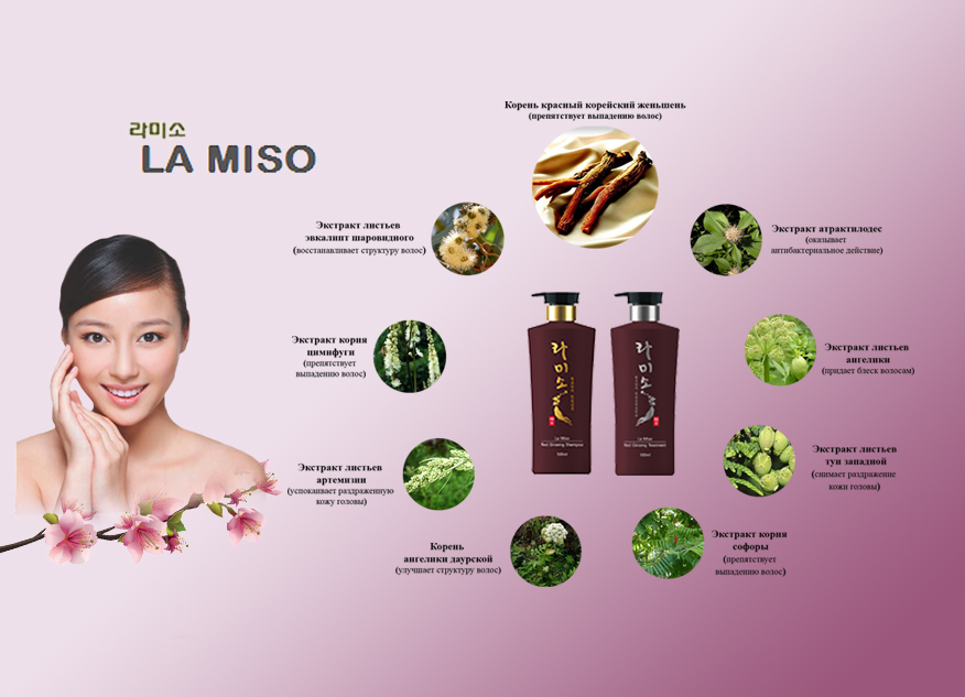       la miso 