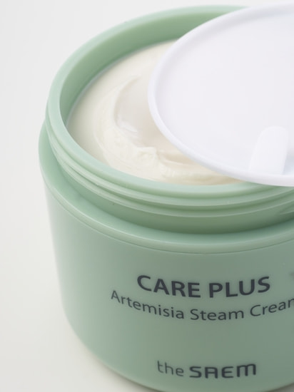      Care Plus Artemisia Steam Cream The Saem (,      The Saem)