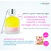 Mizon Acence Blemish Out Pink Spot