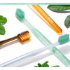    Median Natural Safe Tartar Care Toothbrush