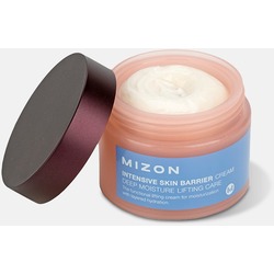         Mizon.  2