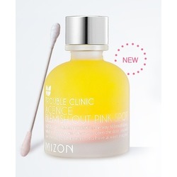       Mizon.  2