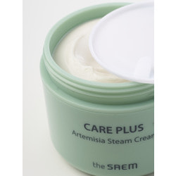          Care Plus Artemisia Steam Cream The Saem.  2