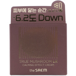         The Saem.  2