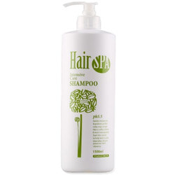    Haken Hair Spa Intensive Care shampoo Gain Cosmetics
